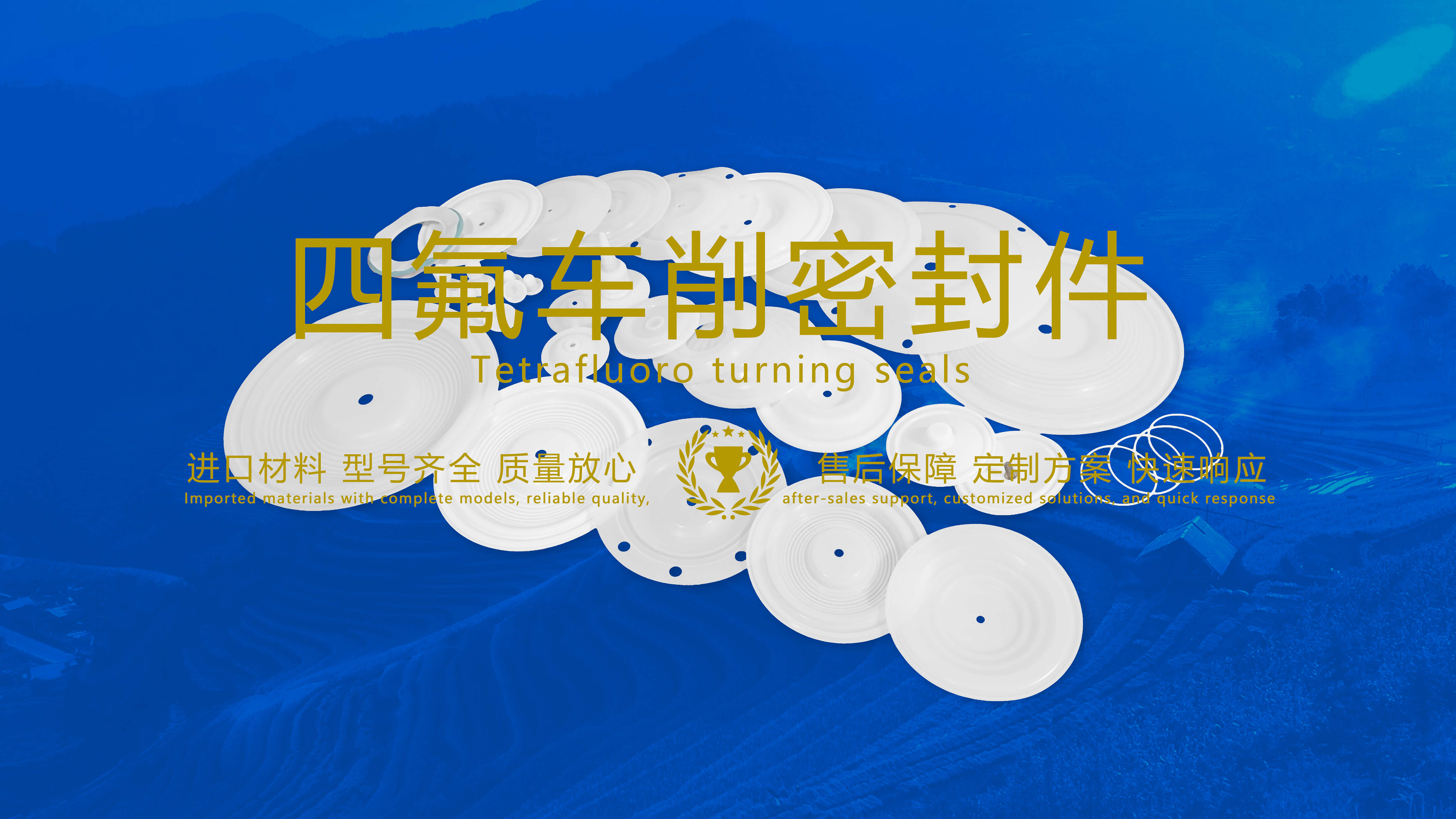 四氟車削密封件密封圈油封膜片配件產品圖 四氟車削密封件密封圈油封膜片配件產品圖