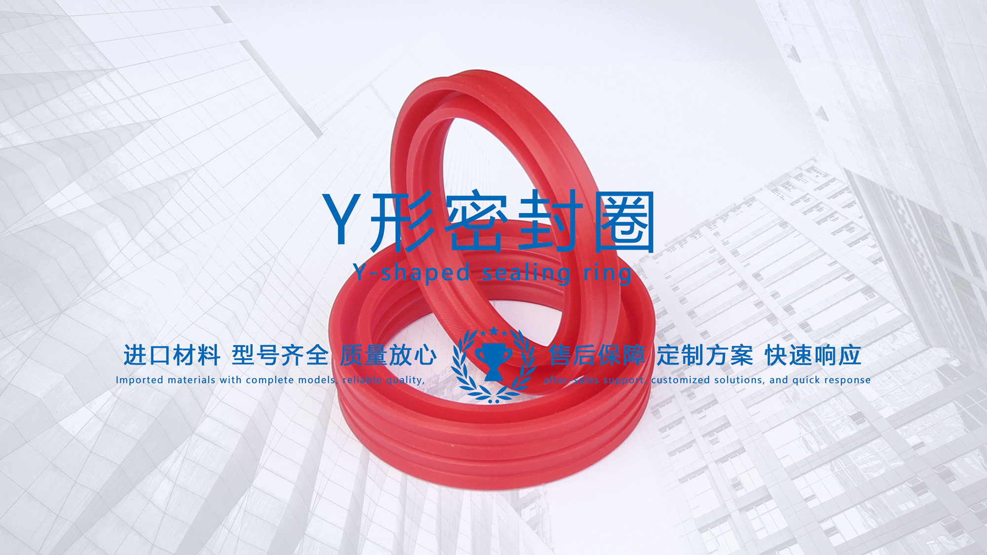 y型密封圈（又Y形密封圈，Y形圈，Y型圖或唇形密封圈，密封件油封膜片） (3)